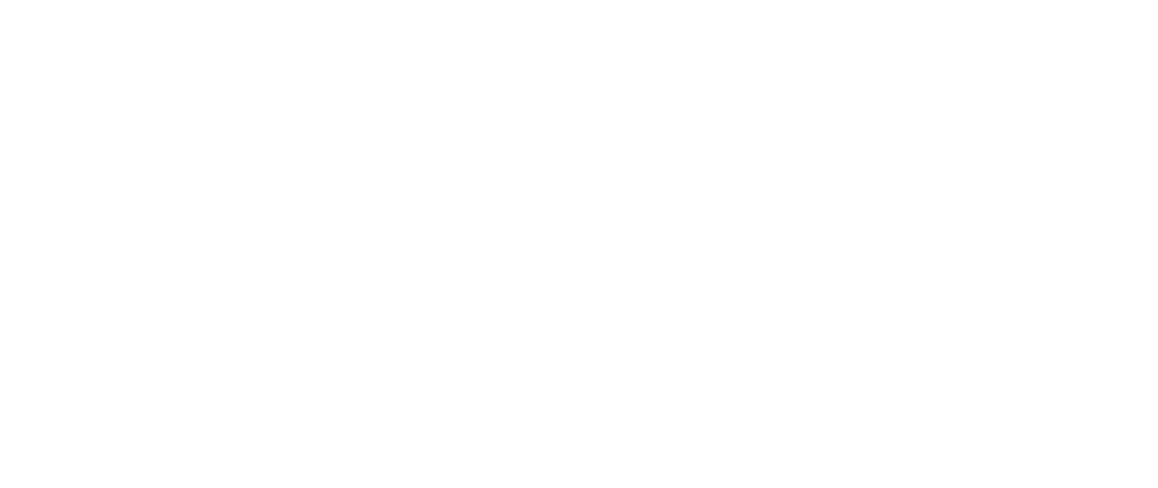 Climate Policy Initiative logo