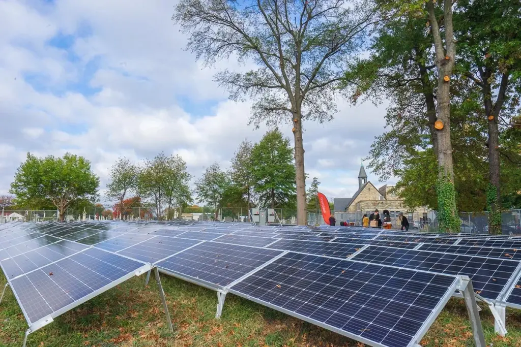 An array of solar panels on the ground.